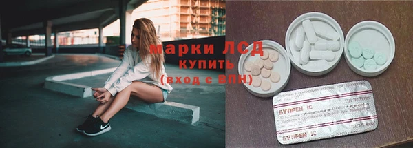 дурь Магас