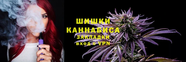 дурь Магас