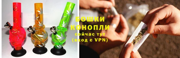 дурь Магас