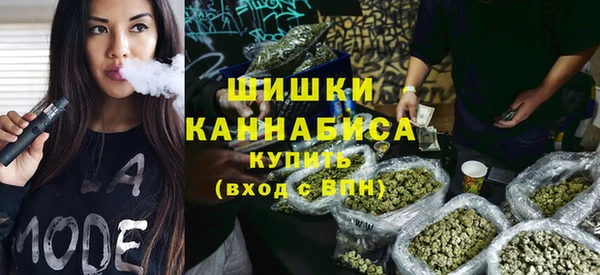 дурь Магас