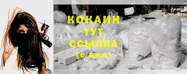 дурь Магас