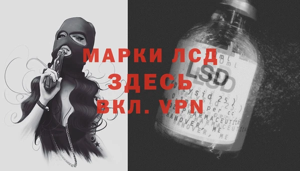 дурь Магас