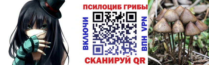 Псилоцибиновые грибы мухоморы  hydra ссылка  Череповец 
