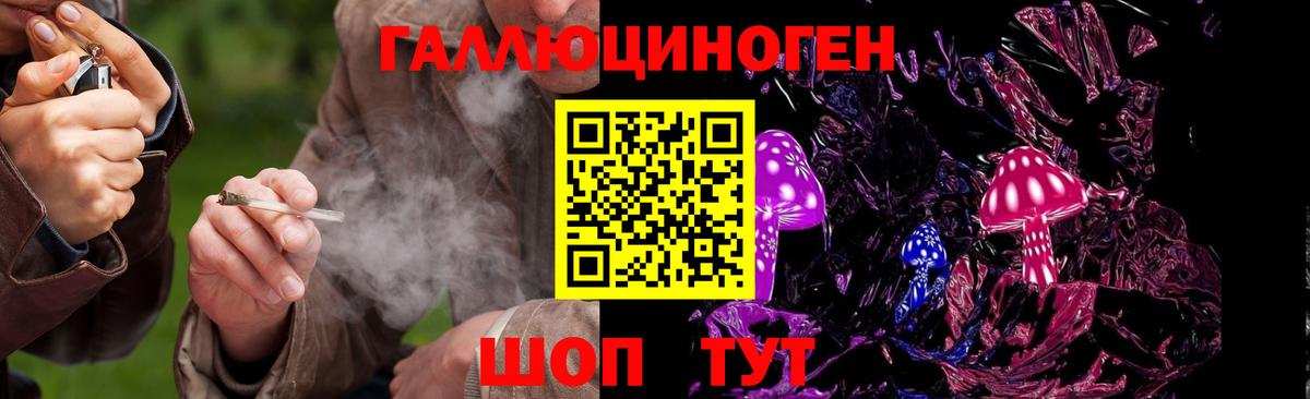Псилоцибиновые грибы Psilocybe Череповец
